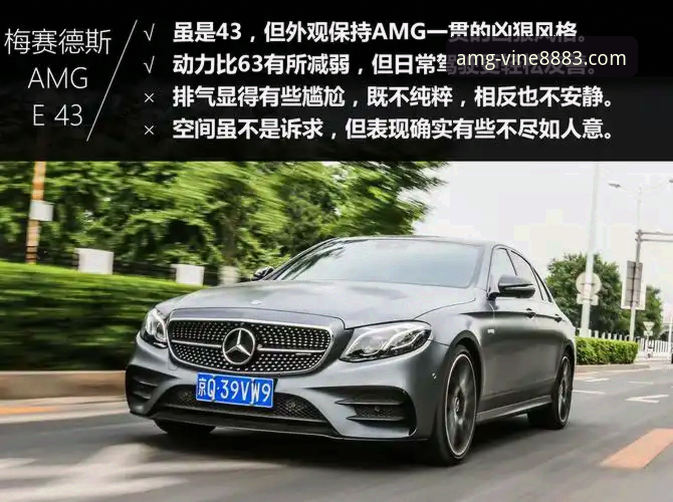 AMG官网入口在哪 新葡萄平台AMG官网入口深度分析:从混乱到清晰的导航全解