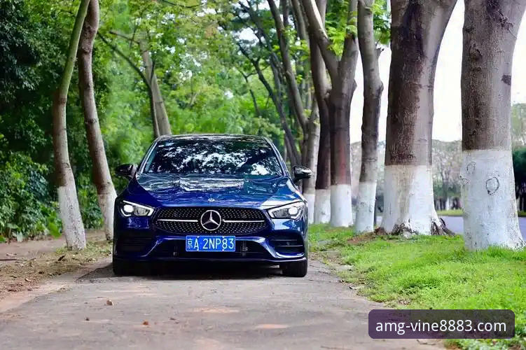 AMG官网安全访问完整指南：新葡萄平台新手入门与操作详解